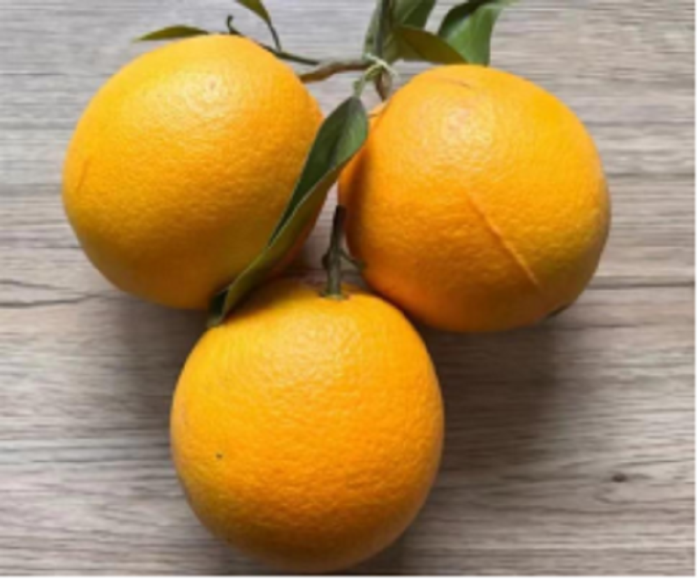 1764578169154219.png 微信图片_20251201155027_365_49.png